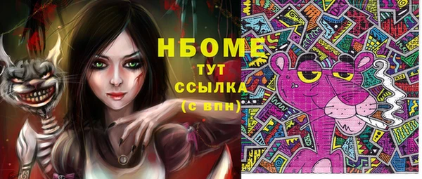 шишки Дмитровск