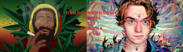 шишки Дмитровск