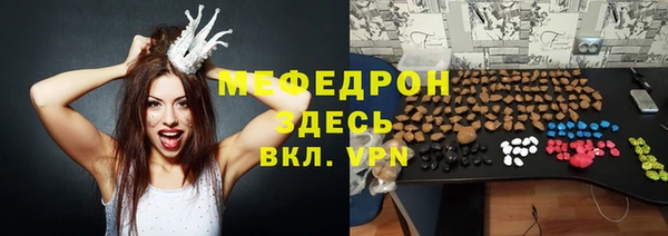 амф Ельня