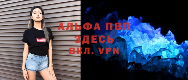 шишки Дмитровск