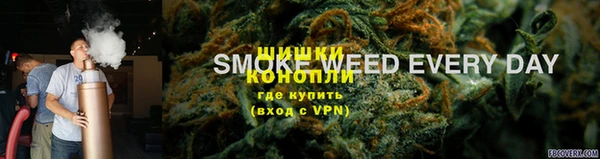 мет Елизово