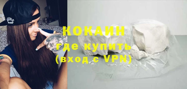 амф Ельня