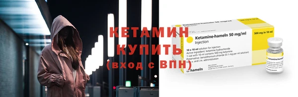 шишки Дмитровск