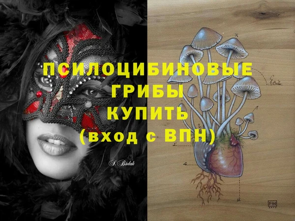 гашик Дмитриев