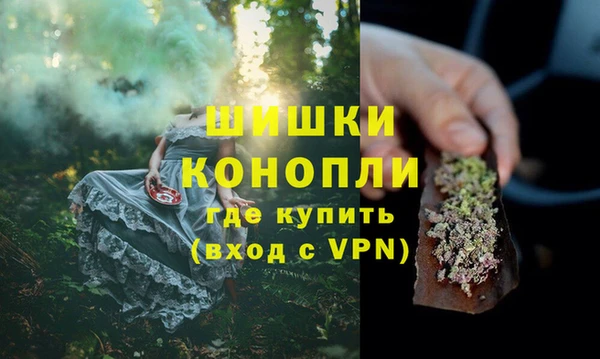 шишки Дмитровск