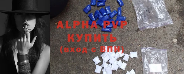 гашик Дмитриев