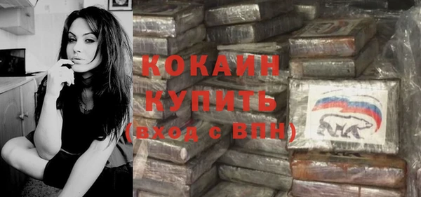 шишки Дмитровск