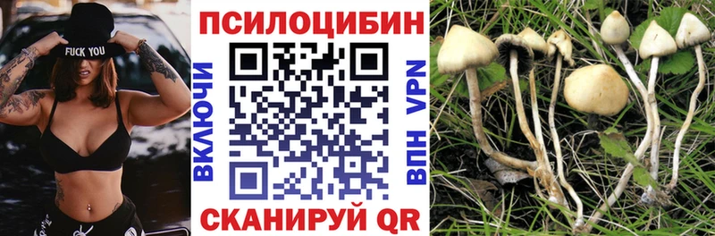 hydra сайт  Пятигорск  Галлюциногенные грибы MAGIC MUSHROOMS  как найти  